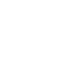 business icon OEM
